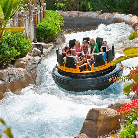 Ranked The Attractions Of Seaworld San Diego