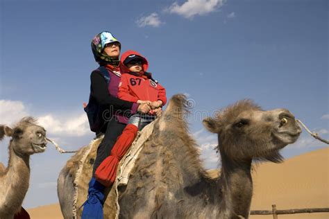 El Paseo De La Mujer Mayor Un Camello Foto Editorial Imagen De Hombre