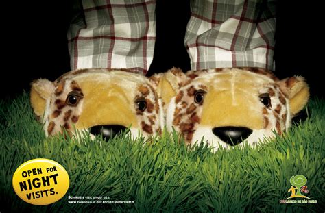 387,829 likes · 9,861 talking about this · 357,838 were here. Zoo of São Paulo: Tiger
