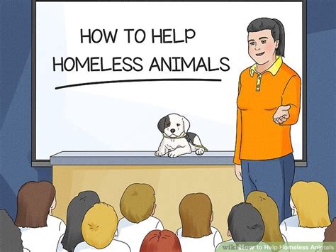 6 Easy Ways To Help Homeless Animals Wikihow Pet