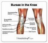 Photos of Muscle Strengthening Around Knee