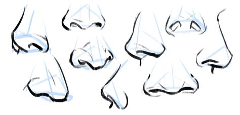 Types Of Noses Drawing At Explore Collection Of