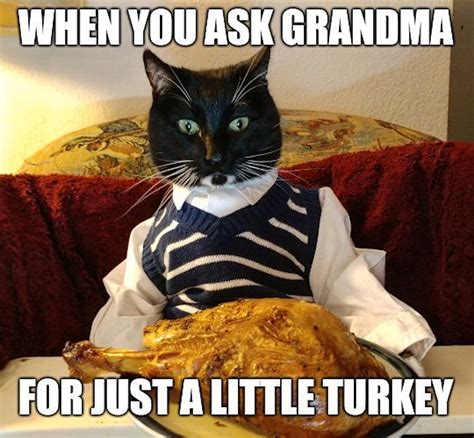 19 Funny Memes And S For Thanksgiving Because On This Holiday Things