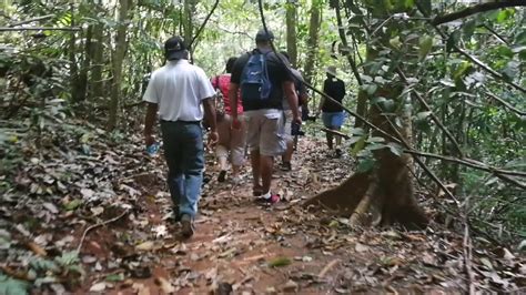 Reserva Forestal El Montuoso Panamá Youtube