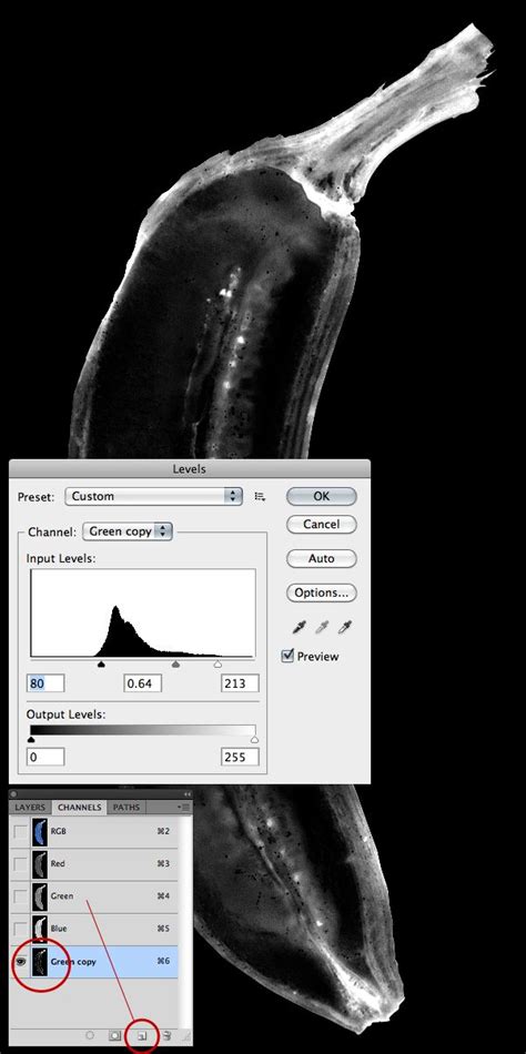 Électrisez vos photos dans photoshop. How to Simulate X-Ray Photography in Photoshop | Photoshop tuts, Photoshop, Illustrator tutorials