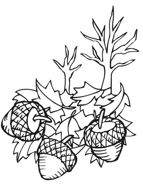 Autumn Leaves Coloring Page Acorns And Fall Leaves