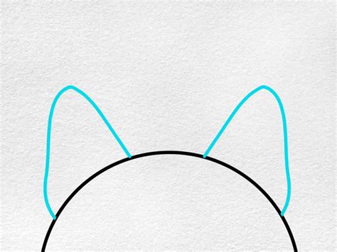 How To Draw A Cat Ear