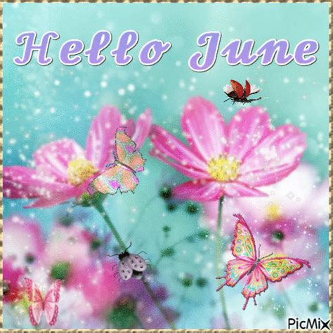 Magical Flowers And Butterfly Hello June Pictures Photos And Images