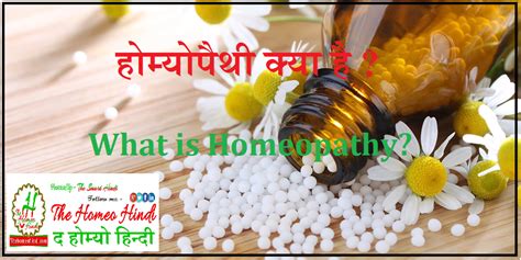 What Is Homeopathy होम्योपैथिक क्या है The Homeo Hindi