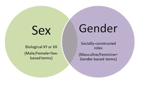 What Is Difference Between Sex And Gender