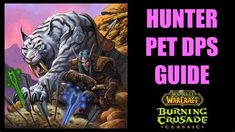 Wow Tbc Classic Hunter Pet Dps Guide Pet Talents Abilities Buffs And