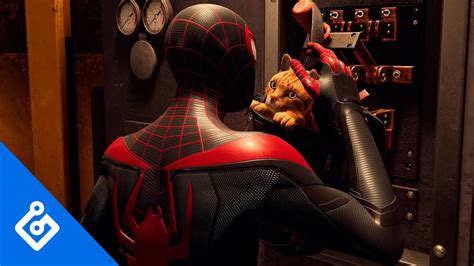 Spider Cat Is The First Thing Ill Be Going For In Spider Man Miles