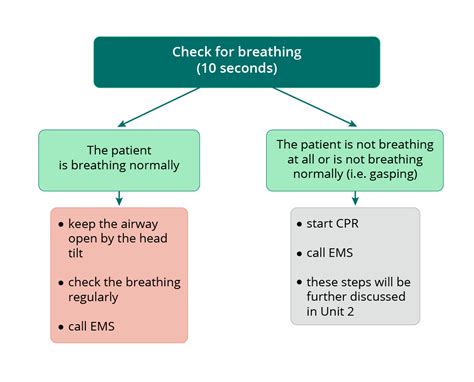 Checking For The Breathing Approach To The Unresponsive Patient