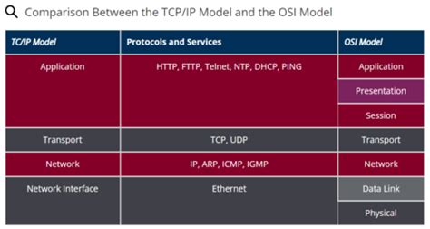 Lesson Explaining The Osi And Tcp Ip Models Flashcards Quizlet My XXX Hot Girl