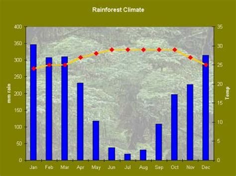 Climate Visit The Tropical Rainforest