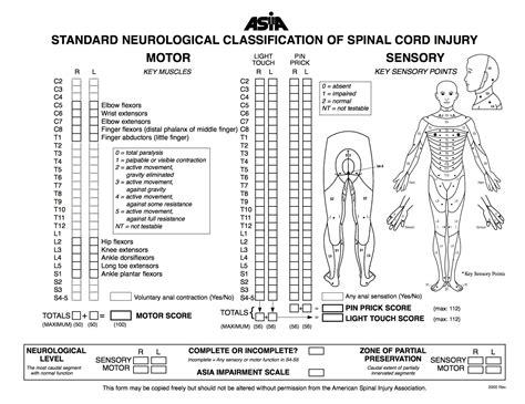 Asia Spinal Chart