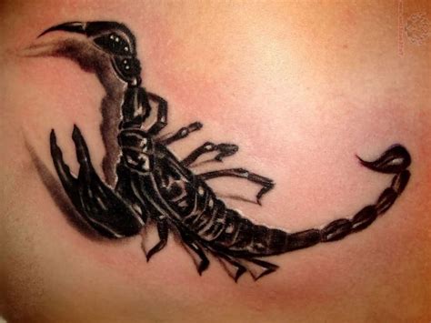 These tattoo designs are next in the list of scorpio tattoo designs is a realistic scorpion tattoo. 30 Scorpion Tatouage Signe Astrologique Liste Gratuit ...