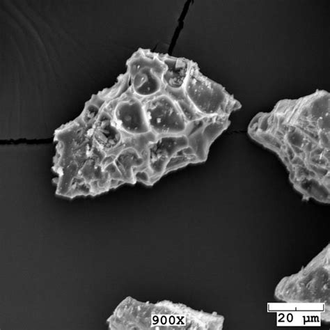 Sem Image Of An Ash Particle Erupted By Redoubt Volcano On March 22