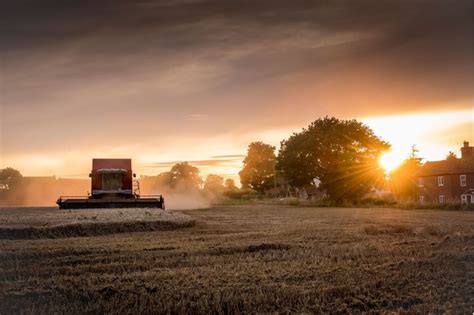 British Harvest How Long Does The Season Last When Is Harvest Day