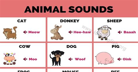 Animal Sounds Interesting List Of Animal Sounds For Kids Love English