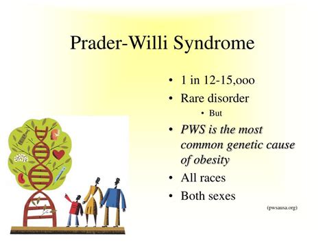 PPT Behavior Characteristics Of Prader Willi Syndrome Cindy Stolp