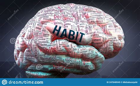 Habit And A Human Brain Stock Illustration Illustration Of Word