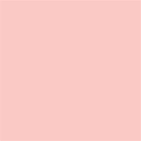 Buy Pantone Tpg Sheet 13 1513 Gossamer Pink