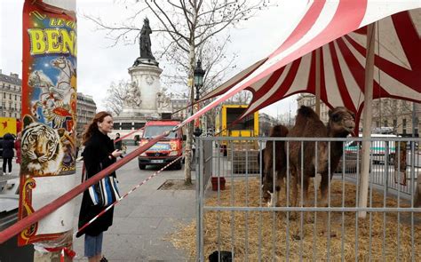 Paris La Nouvelle Opération Séduction Des Cirques Animaliers Le