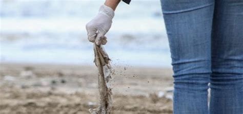Más Del 80 De 47 Mil Residuos Encontrados En Las Playas Bonaerenses