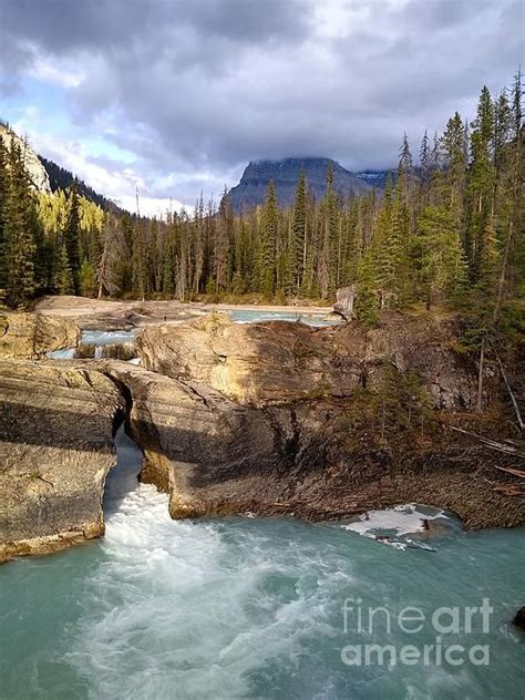 Natural Bridge Falls Kicking Horse River Yoho National Park By Art