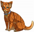 Rusty Warrior Cats by Saltei on DeviantArt
