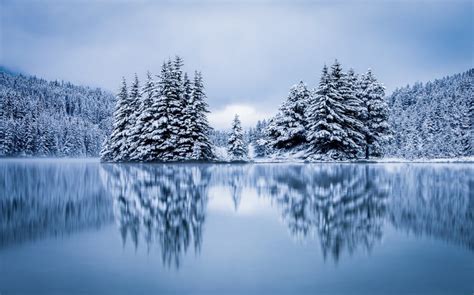 Landscape Nature Lake Forest Hill Overcast Reflection Winter Cold Snow Pine Trees Calm Wallpaper