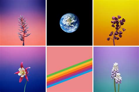 Here Are The New Iphone And Ipad Wallpapers From Ios 11 Gm