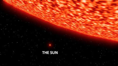 A Size Comparison Of The Sun With The Largest Star