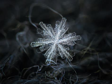 Real Snowflake 18 Dec 2018 3 Photograph By Alexey Kljatov Pixels