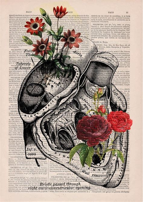 Floral Anatomy Sketches On The Pages Of Vintage Books Anatomy Art