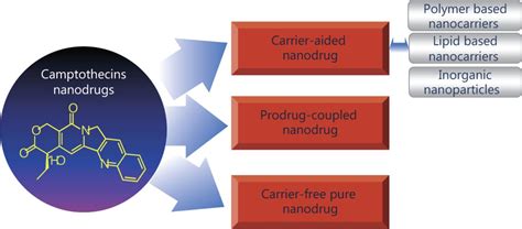 Camptothecin Based Nanodrug Delivery Systems Cancer Biology And Medicine