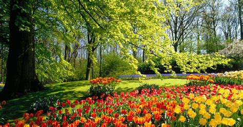 Spring Hd Wallpapers Widescreen Wallpapers