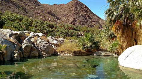 Guadalupe Canyon Hot Springs The Most Unique Camping In Baja