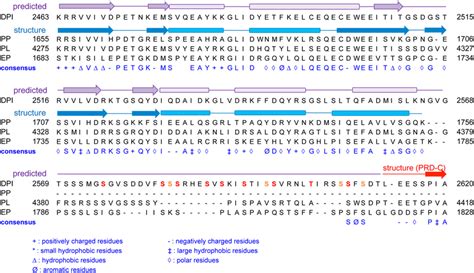 Linker Region Sequences Sequence Alignment Of Human Desmoplakin I