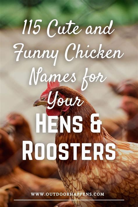 115 Cute And Funny Chicken Names Funny Chicken Names Chicken Humor