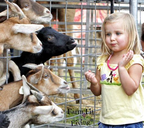 There is just something about interacting with a fuzzy friend that makes children smile. 5 Country Family Fun Things To Do This Fall | Farm Fit Living