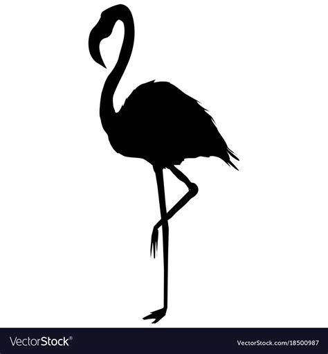 Flamingo Silhouette Royalty Free Vector Image Vectorstock