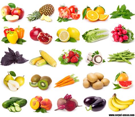 Lista 84 Foto Frutas Y Verduras Del Plato Del Buen Comer Para Imprimir