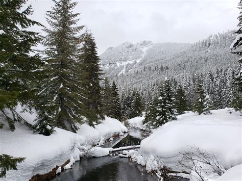 It is the perfect hike for small children, who can walk unassisted the whole route, for parents pushing strollers and for people in wheelchairs. Gold Creek Pond Snowshoe Trail - February 23, 2019 ...
