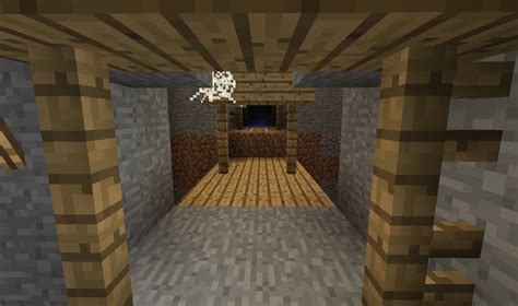 Double Ravine Abandoned Mineshaft And Dungeon Seed Seeds