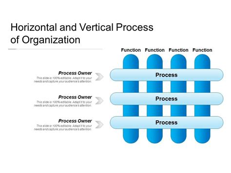 Horizontal And Vertical Process Of Organization Presentation