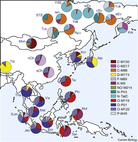 The Human Genetic History Of East Asia Weaving A Complex Tapestry