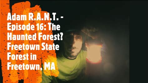 The Haunted Forest Freetown State Forest In Freetown Massachusetts R