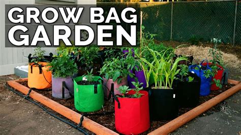 Start A Grow Bag Garden And Water It Easily